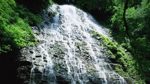 数字化节能可靠性